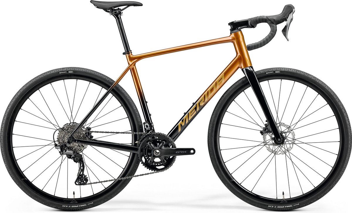 Scultura Endurance (alloy)