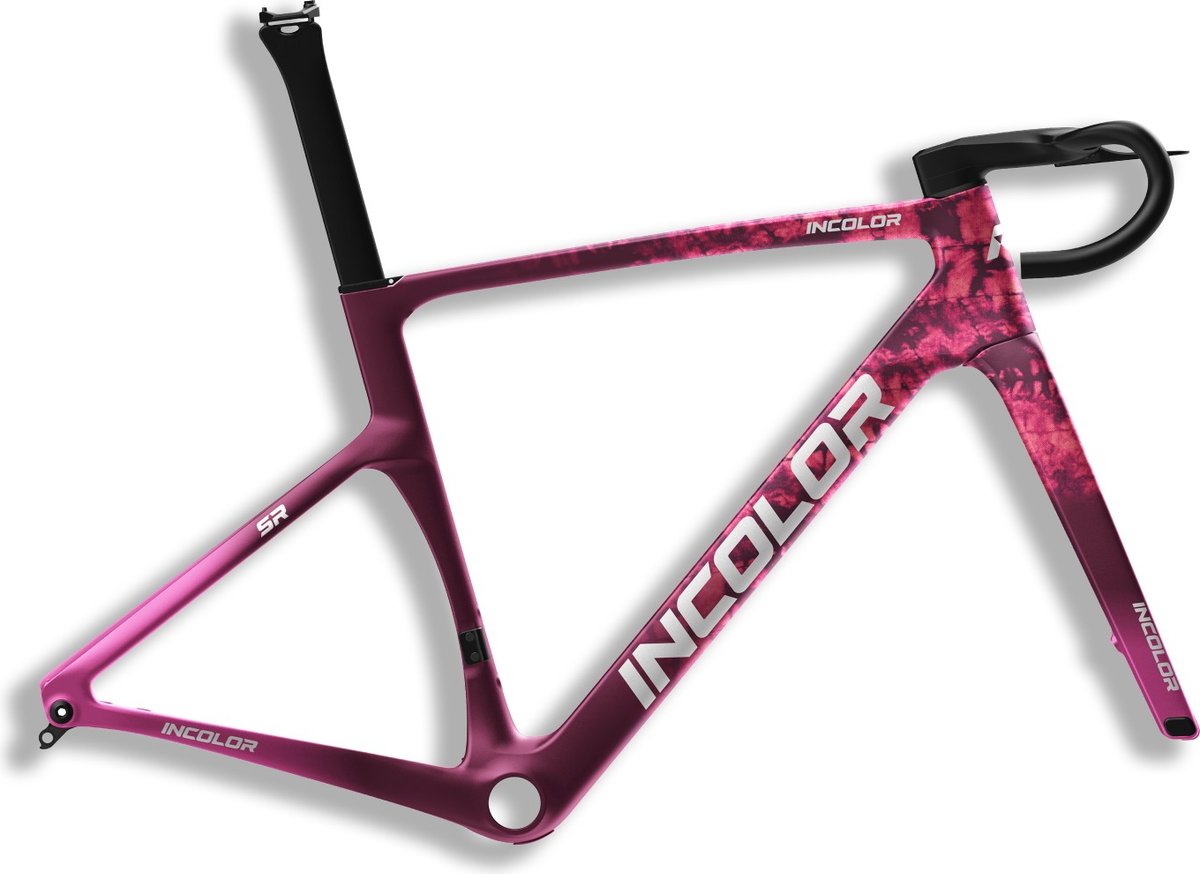SR Carbon Disc Brake Road Bike Frameset