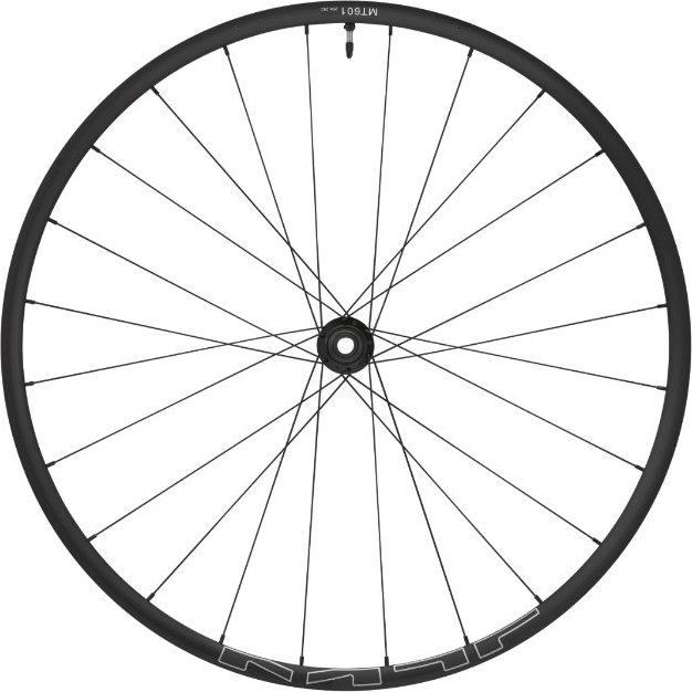 29 100X15 MM THRU AXLE WHEEL FRONT